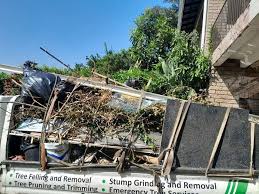 Best Estate Cleanout  in Sunrise Manor, NV
